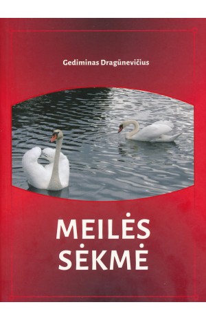 Meilės sėkmė